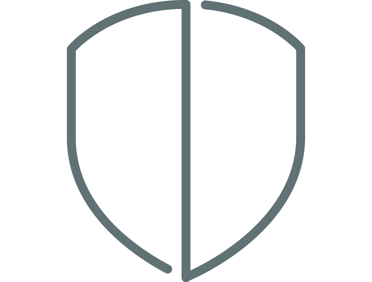 Icon Shield